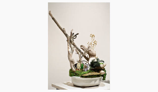 <strong>Green Fingers｜川本 諭</strong>　『Deco Room with Plants -植物とつくる、自分らしいインテリアスタイル-』　Exhibition「The art of bonsai」2012 @H.P.FRANCE　Photographs by Eisuke Komatsubara（moana）