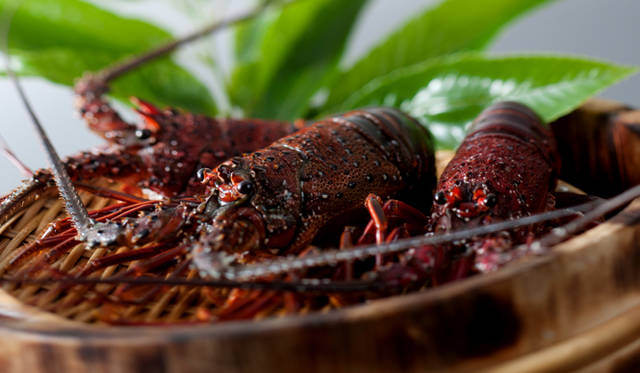 <strong>TRAVEL｜合歓の郷ホテル＆リゾート「ホテル合歓」がリニューアル</strong>