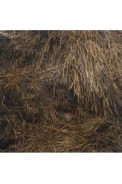 Mist, 2009  © Anne Schwalbe<br /><br />日程│3月23日（土）～4月7日（日）　※月曜定休<br />時間│12:00～20:00<br />会場│POST（limArt内）<br />東京都渋谷区恵比寿南2-10-3<br />Tel.03-3713-8670