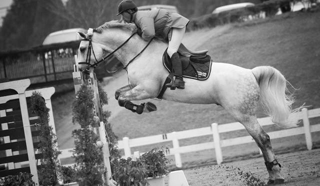 <strong>REBIRTH PROJECT｜リバースプロジェクト</strong>　PHOTO : KAZUNORI FUJIMOTO