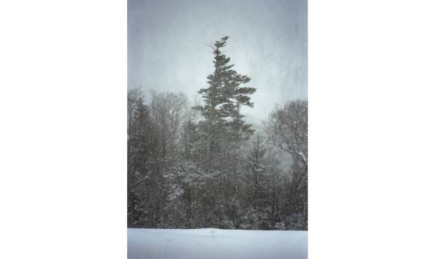 <strong>ART｜北海道の風景を撮影した『TAKEO YAMADA│PARADISELOST』</strong>　Eden III  ©TAKEO YAMADA