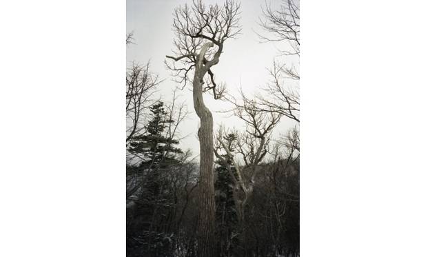 <strong>ART｜北海道の風景を撮影した『TAKEO YAMADA│PARADISELOST』</strong>　Eden II  © Takeo Yamada