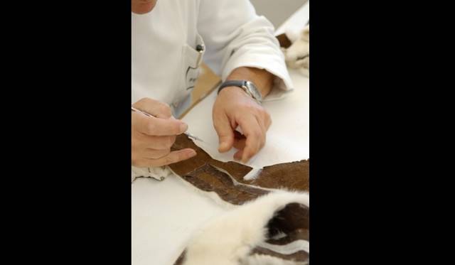 <strong>FENDI｜『フェンディ　もうひとつのアート、クリエイションとイノベーションの軌跡』</strong>　ファーの精製、および裁断工程