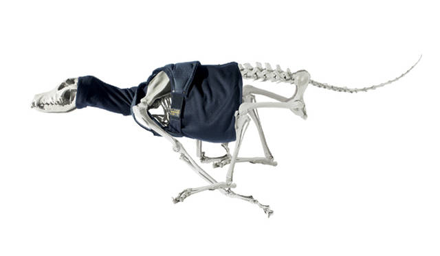 <strong>G-STAR RAW｜ジースター ロゥ</strong>　2013年春夏グローバルキャンペーン「THE ART OF RAW」