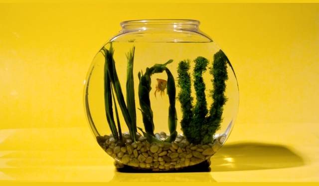 <strong>ART｜『TDC展2013』</strong>　「東京TDC賞 2013」 グランプリ Stefan Sagmeister & Jessica WalshNow Is Better