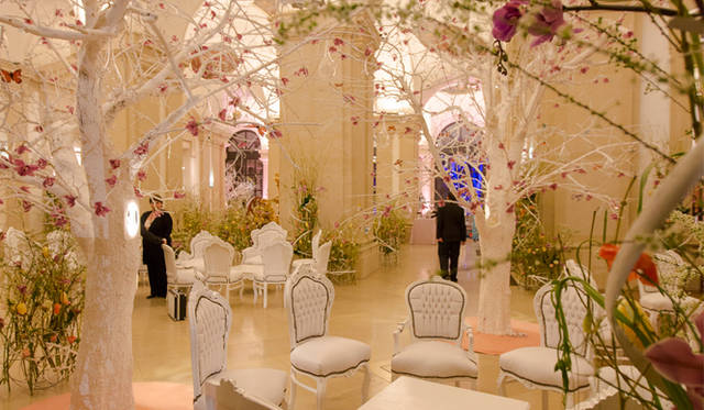 <strong>OMEGA｜オメガ</strong>　