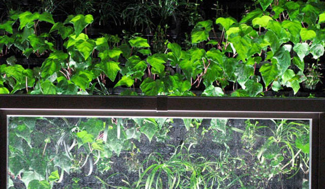 <strong>FREEMANS SPORTING CLUB - TOKYO｜フリーマンズ スポーティング クラブ 東京</strong>