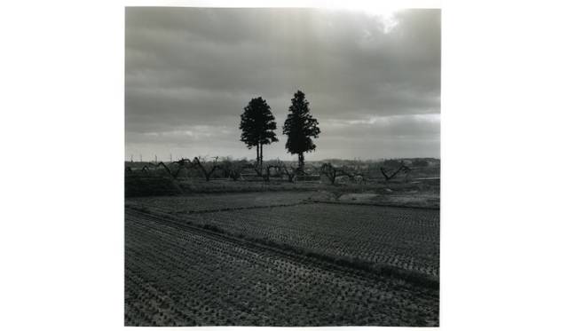 <strong>ART｜村越としや写真展『木立を抜けて』</strong>　「木立を抜けて #06」2009年 ゼラチン・シルバー・プリント　Courtesy of Taka Ishii Gallery