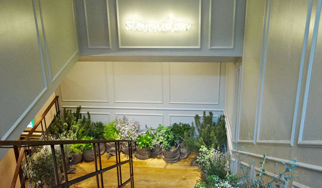 <strong>STEVEN ALAN｜スティーブン アラン</strong>　渋谷公園通り「STEVEN ALAN TOKYO」　