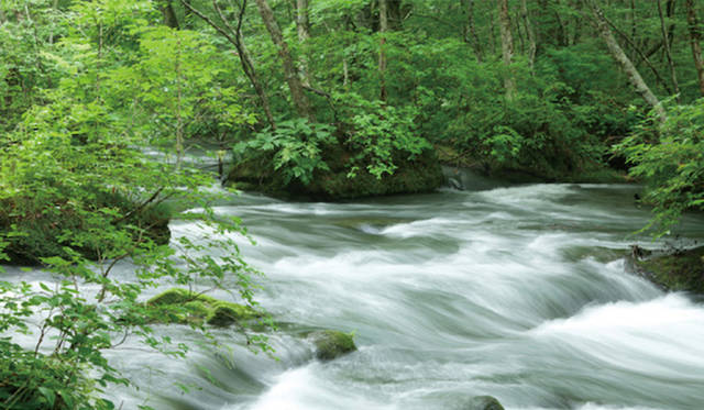 <strong> 新・プレミアム抹茶飲料「遥香（HARUKA）」</strong>　左＝通常販売時、右＝抹茶と水がミックスしはじめた様子