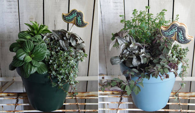 <strong>Green Fingers｜グリーンフィンガーズ</strong>　NOBLE DAD POT with cookie boy（4200円/S、6825円/M、1万500円/L）