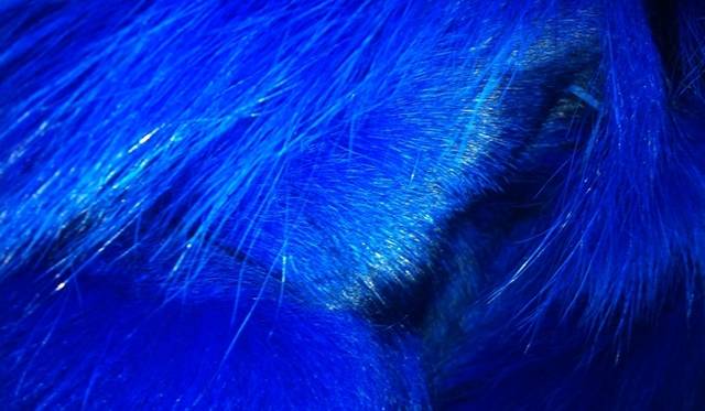 <strong>VERSUS VERSACE｜新生ヴェルサス ヴェルサーチのウェブサイトがプレオープン</strong>