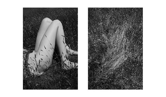 <strong>ヴィヴィアン・サッセン『Sol & Luna』</strong> © Viviane Sassen