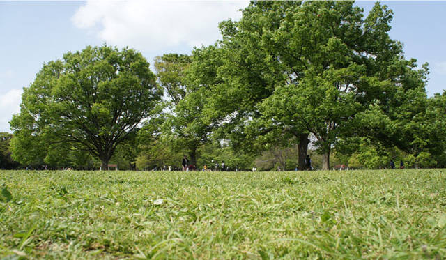 <strong>Ag｜エージーリミテッド</strong>　芝生の質感と手触りを再現した世界初のiPhoneケース「Shibaful（シバフル）」　