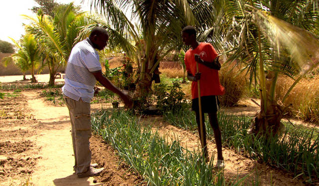 <strong>MOVIE｜『世界が食べられなくなる日』</strong>
