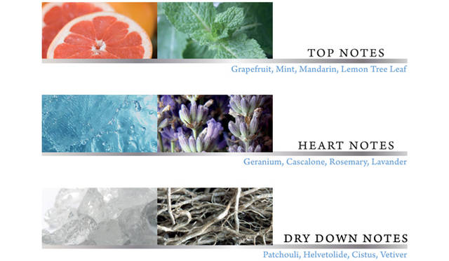 <strong>Salvatore Ferragamo│サルヴァトーレ フェラガモ</strong> 新作フレグランス「アクア エッセンツィアーレ」 