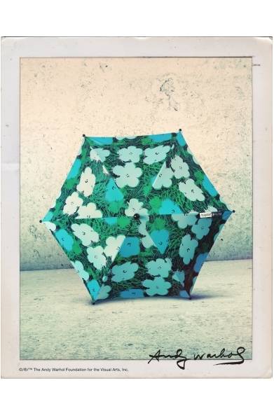 フラワーコレクション パラソル<br />価格｜9900円