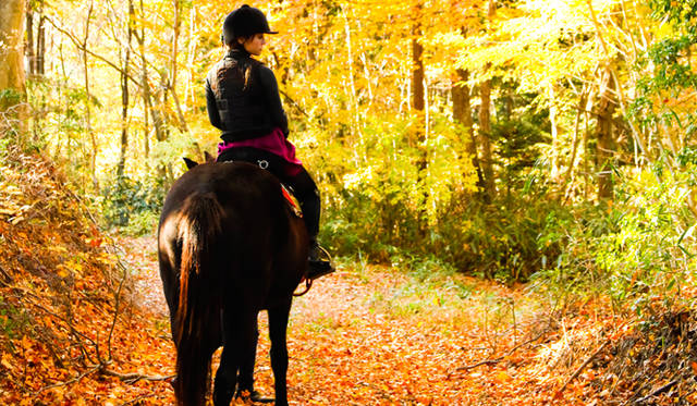 <strong>TRAVEL｜ヘルス・リゾート「天空の庭 天馬夢」</strong>　サポート体制が充実しているので、森林のなかを優雅に散策したり、広大な敷地を颯爽と駆け抜けることも可能 