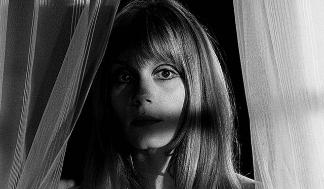 <strong>MOVIE｜『ロマン・ポランスキー 初めての告白』</strong>　『袋小路』（1966年）