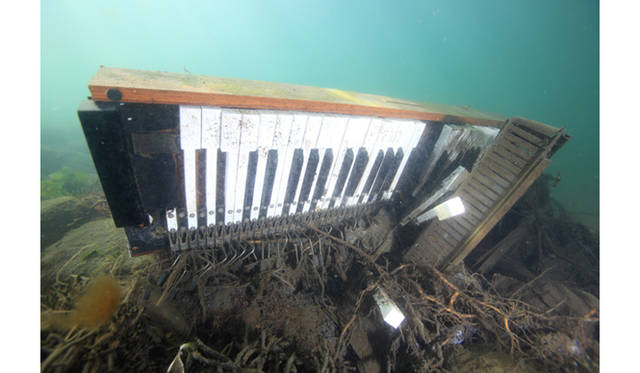 <strong>BOOK｜『ダンゴウオ 海の底から見た震災と再生』</strong>