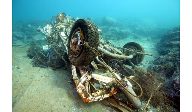 <strong>BOOK｜『ダンゴウオ 海の底から見た震災と再生』</strong>