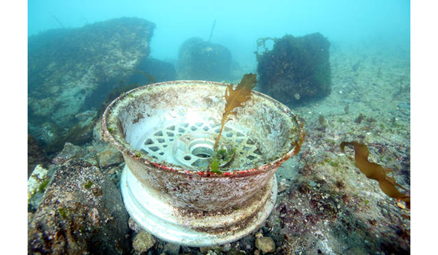 <strong>BOOK｜『ダンゴウオ 海の底から見た震災と再生』</strong>