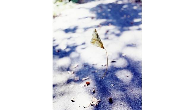 <strong>ART｜アーティスト27人の作品が一堂に会する写真展『SPACE CADET  Actual Exhibition #2』</strong>　