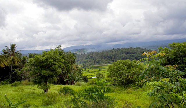 心が洗われるような田園風景も、体感したいバリ島の魅力のひとつ