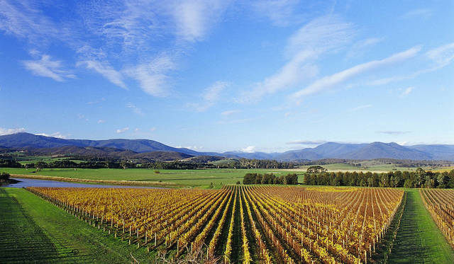 <strong>EAT｜シャンドン ブリュット サマーボトル</strong>