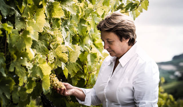 <strong>LOUIS XIII｜ルイ13世</strong>　「ルイ13世 レア・カスク42.6」　それぞれのぶどう畑、ワイン醸造所、そしてコニャックの蒸留所のもつ特性を、もっとも忠実に表現する優れたぶどう品種“ユニ・ブラン”。数ある葡萄の品種のなかでも、際立った地位を占める、いわばプリンスのような存在