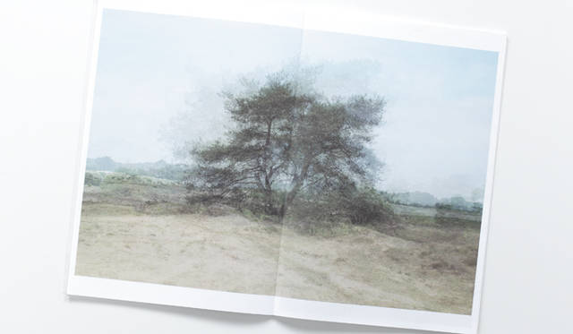 <strong>連載｜体感する読書～THE READING EXPERIENCE～</strong>　キム・ボスケ『Mapping』