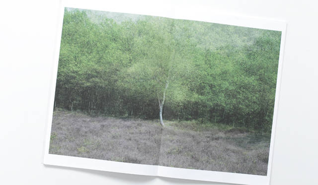 <strong>連載｜体感する読書～THE READING EXPERIENCE～</strong>　キム・ボスケ『Mapping』