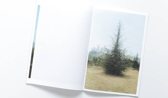 <strong>連載｜体感する読書～THE READING EXPERIENCE～</strong>　キム・ボスケ『Mapping』