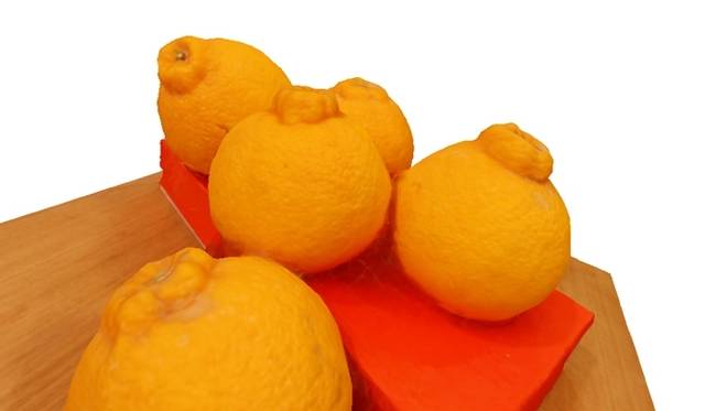 <strong>ART｜東京藝術大学美術館で『マテリアライジング展』</strong>　谷口暁彦