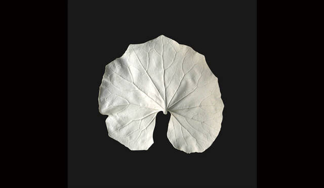 <strong>ON ZA LINE｜オンザライン</strong>　 Showcase「The Garden as Science Fiction」