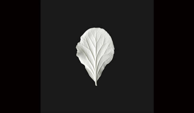 <strong>ON ZA LINE｜オンザライン</strong>　 Showcase「The Garden as Science Fiction」