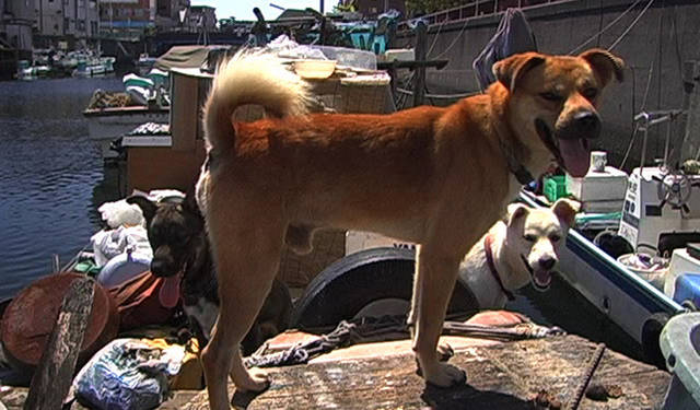 © 2012 Yoichiro Okutani All Rights Reserved.