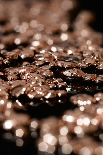 「Constellation Sedna｜コンステレーション セドナ」