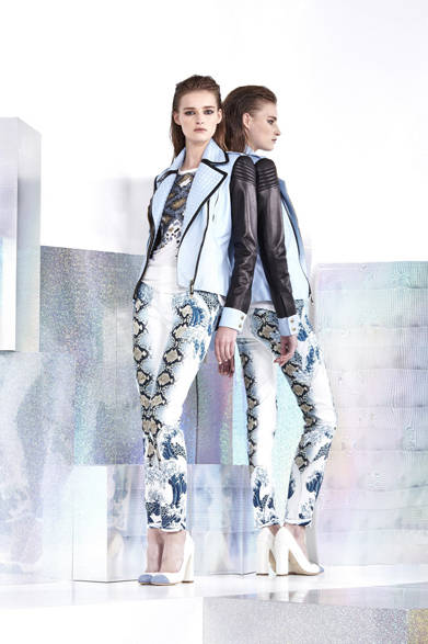 <strong>JUST CAVALLI