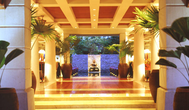 チバソムは、「ホリスティック・ウェルビーイング」が特徴で、インドのアーユルヴェーダ、中国古来の気内臓療法 チ・ネイ・サン、日本の霊気なども取り入れ、未病の状態を改善し理想的な健康状態へと導いてくれるという