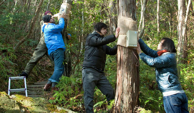 <strong>YCAM｜ワイカム</strong>　「YCAM10周年記念祭」　作品展示／インスタレーション　坂本龍一＋YCAM InterLab「Forest Symphony」（会期｜7月26日～12月1日）