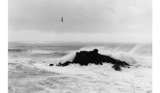 <strong>ART｜平間至写真展『last movement － 最終の身振りへ向けて』</strong>　宮城県七ヶ浜, 2010 ©Itaru Hirama