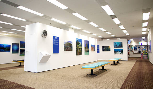 神秘的な海中世界へ誘う写真展『オーシャンズ』を国連で開催