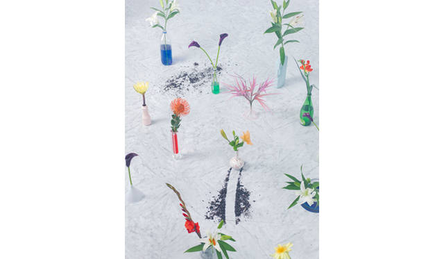 <strong>Levi’s® Made & Crafted™｜写真家が伝える「植物とデニムの関係」</strong> ©Martin Zad