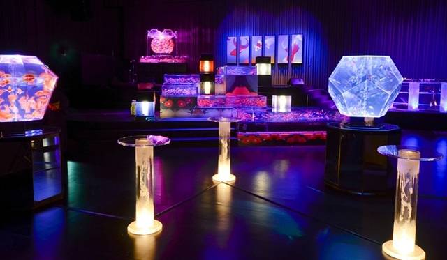 <strong>ART｜『ECO EDO 日本橋　ダイナースクラブ アートアクアリウム2013～江戸・金魚の涼～』</strong>　去年の会場風景　