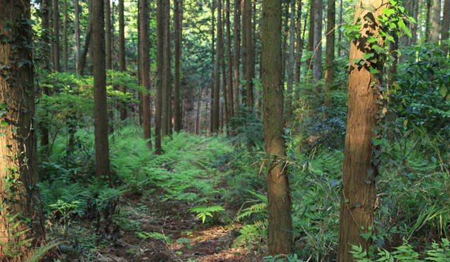 千葉・草原のこころファーム