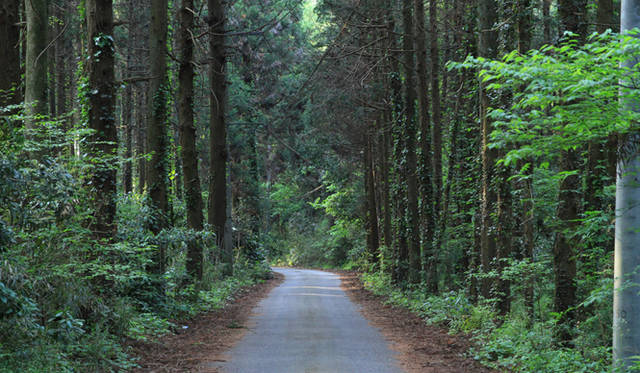 千葉・草原のこころファーム