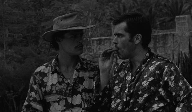 © O SOM E A FÚRIA, KOMPLIZEN FILM, GULL