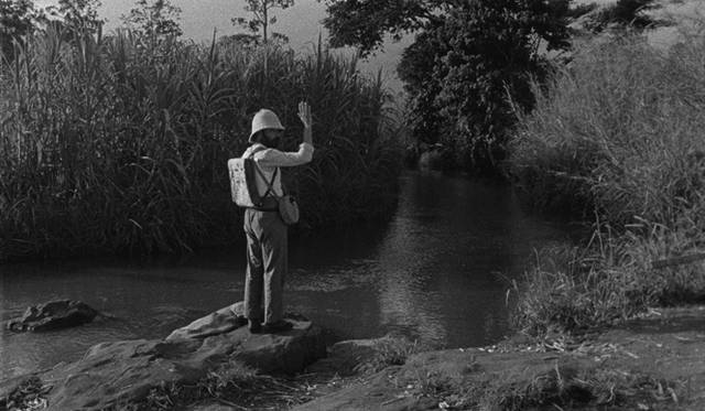 © O SOM E A FÚRIA, KOMPLIZEN FILM, GULL