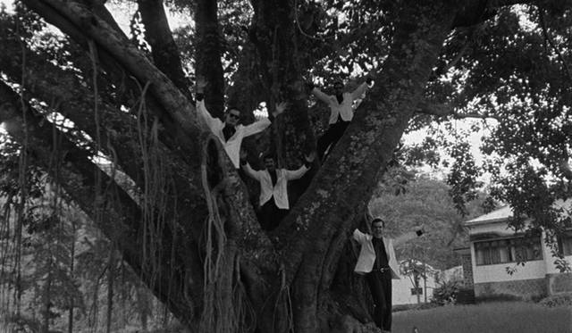 © O SOM E A FÚRIA, KOMPLIZEN FILM, GULL